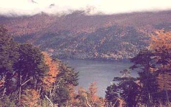 parque